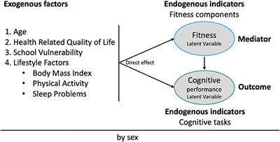 Physical Fitness Plays a Crucial Mediator Role in Relationships Among Personal, Social, and Lifestyle Factors With Adolescents' Cognitive Performance in a Structural Equation Model. The Cogni-Action Project